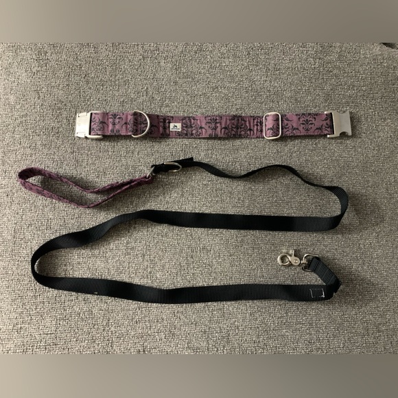 Matching Leash and Collar Set - Picture 1 of 6